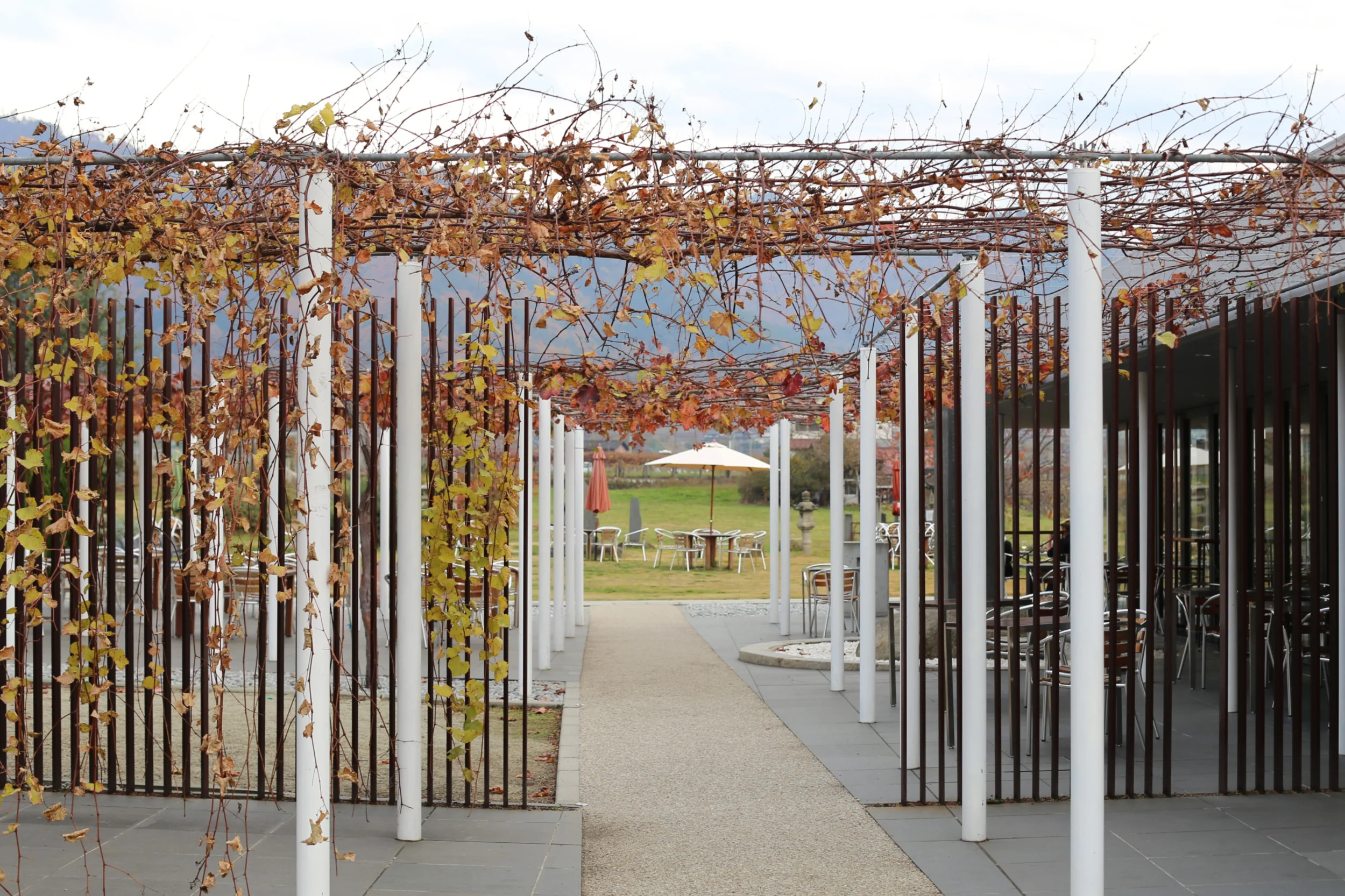 Chateau Mercian — Koshu Valley